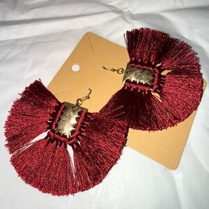 Elegant Tassel Earrings Set